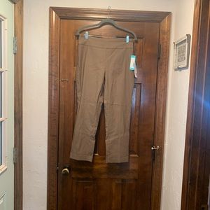 TRIBAL Taupe Pants. Size 10. NWT